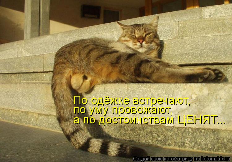 По одёжке встречают, по уму провожают, а по достоинствам ЦЕНЯТ...... Котоматрица: По одёжке встречают, по уму провожают, а по достоинствам ЦЕНЯТ...