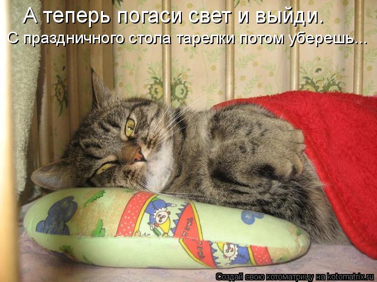 А теперь погаси свет и выйди. С праздничного стола тарелки потом уберешь...... Котоматрица: А теперь погаси свет и выйди. С праздничного стола тарелки потом уберешь...