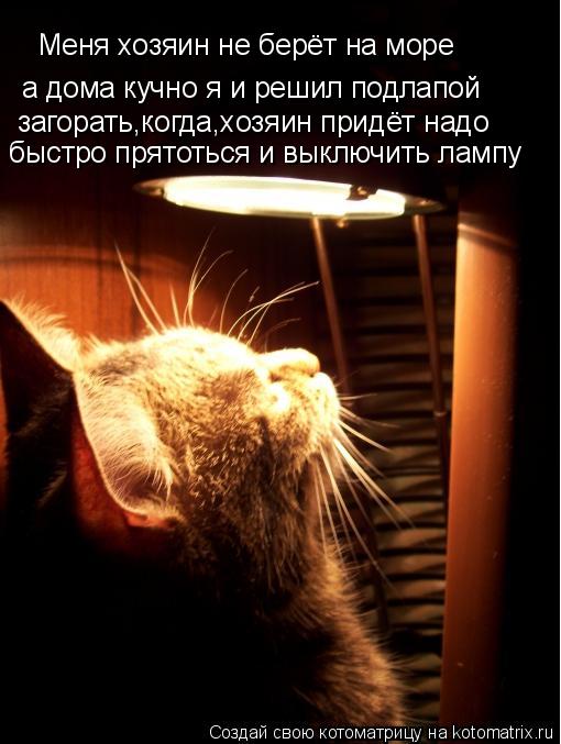Меня хозяин не берёт на море а дома кучно я и решил подлапой загорать,когда,хозяин придёт надо быстр... Котоматрица: Меня хозяин не берёт на море а дома кучно я и решил подлапой загорать,когда,хозяин придёт надо быстро прятоться и выключить лампу