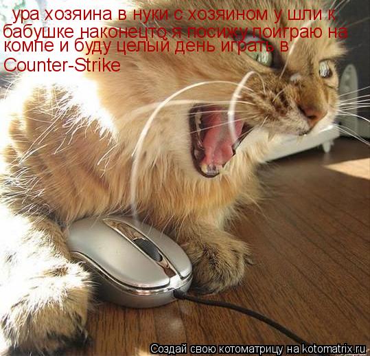 Котоматрица: ура хозяина в нуки с хозяином у шли к  бабушке наконецто я посижу поиграю на компе и буду целый день играть в Counter-Strike