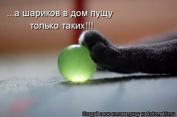 ...а шариков в дом пущу только таких!!!... Котоматрица: ...а шариков в дом пущу только таких!!!