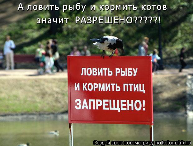 Котоматрица: А ловить рыбу и кормить котов значит  РАЗРЕШЕНО?????!