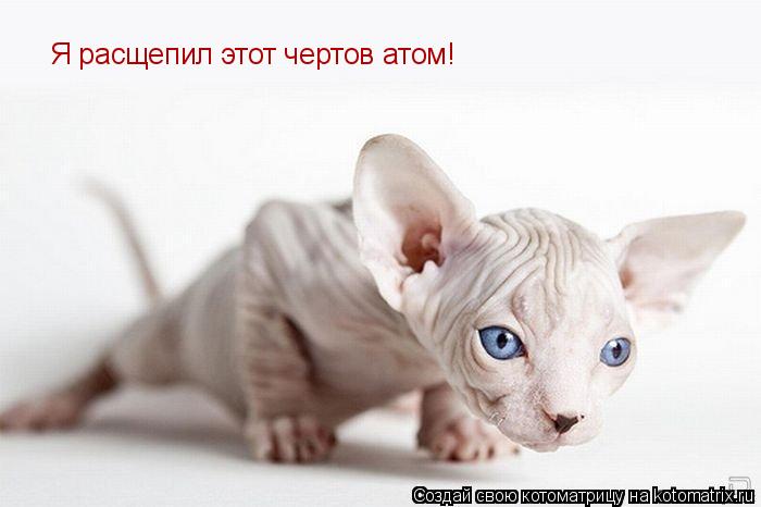 Котоматрица: Я расщепил этот чертов атом!