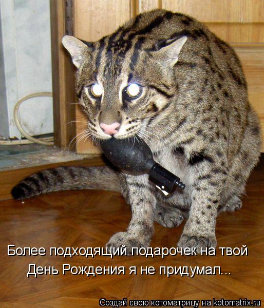 Котоматрица: Более подходящий подарочек на твой День Рождения я не придумал...