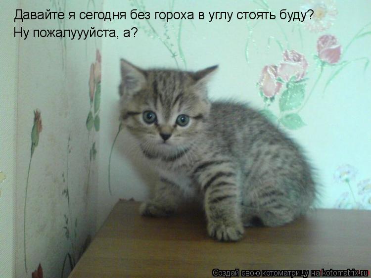 Котоматрица: Давайте я сегодня без гороха в углу стоять буду? Ну пожалуууйста, а?