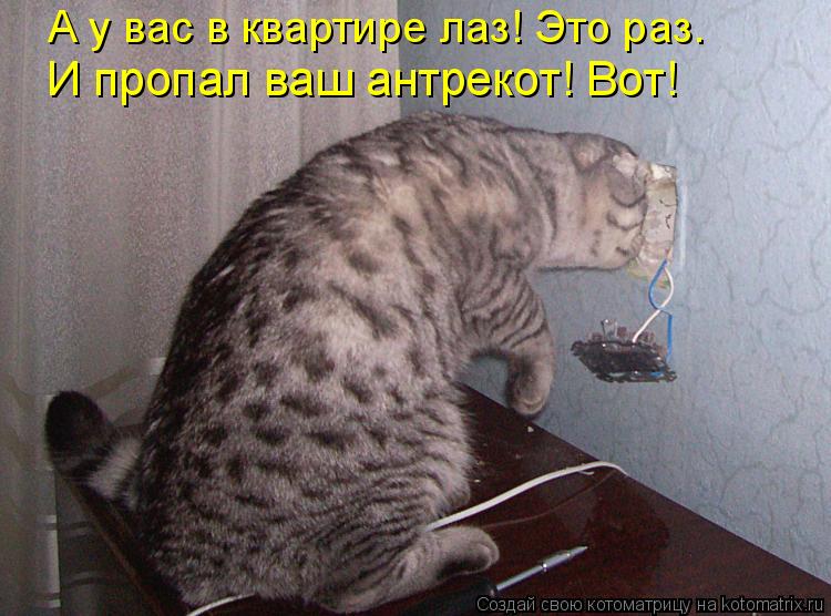 А у вас в квартире лаз! Это раз. И пропал ваш антрекот! Вот!... Котоматрица: А у вас в квартире лаз! Это раз. И пропал ваш антрекот! Вот!