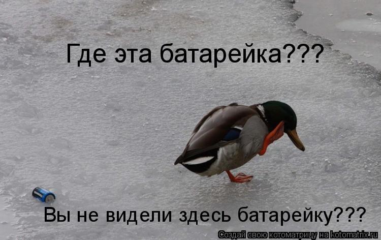 Котоматрица: Где эта батарейка??? Вы не видели здесь батарейку???