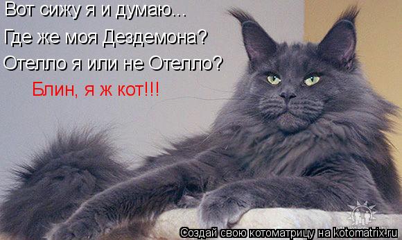 Котоматрица: Вот сижу я и думаю... бплалпр Где же моя Дездемона? Отелло я или не Отелло? Блин, я ж кот!!!