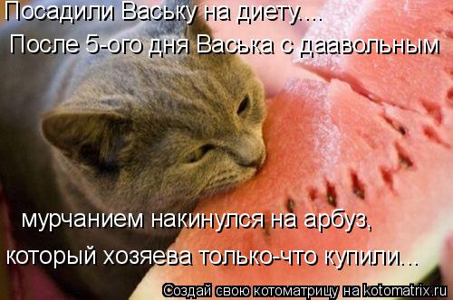 Котоматрица: Посадили Ваську на диету....5 дней назад. Посадили Ваську на диету.... После 5-ого дня Васька с даавольным мурчанием накинулся на арбуз, который