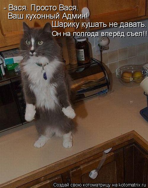 Котоматрица: - Вася. Просто Вася.  Ваш кухонный Админ! Шарику кушать не давать. Он на полгода вперёд съел!!!