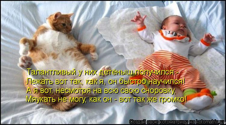 Талантливый у них детёныш получился - Лежать вот так, как я, он быстро научился! А я вот, несмотря на... Котоматрица: Талантливый у них детёныш получился - Лежать вот так, как я, он быстро научился! А я вот, несмотря на всю свою сноровку, Мяукать не могу, как он