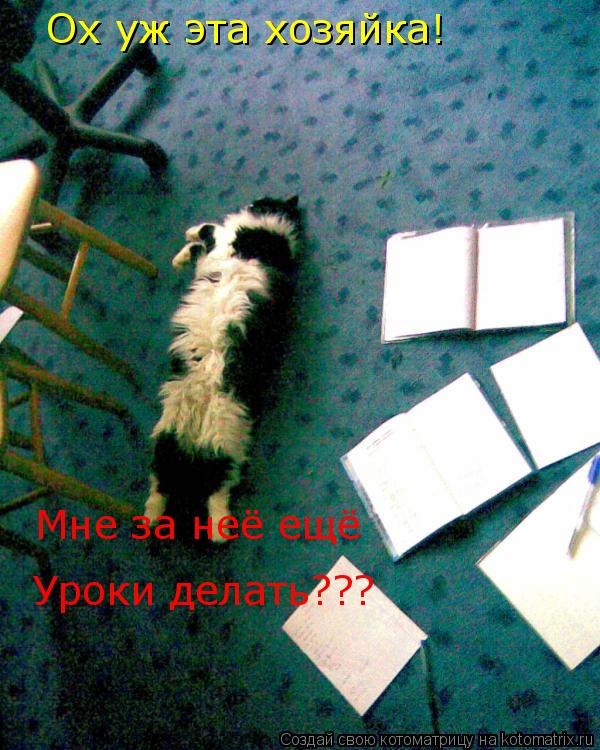 Котоматрица: Ох уж эта хозяйка! Мне за неё ещё Уроки делать???
