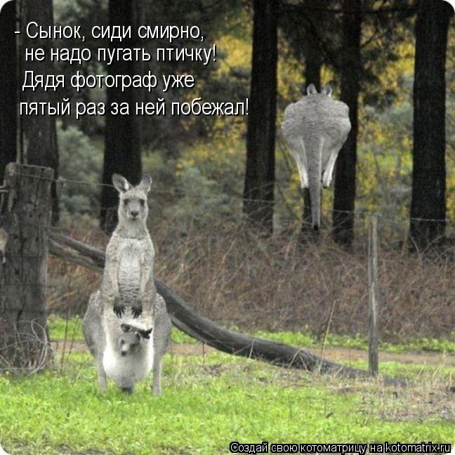 Котоматрица: - Сынок, сиди смирно,  не надо пугать птичку! Дядя фотограф уже  пятый раз за ней побежал!