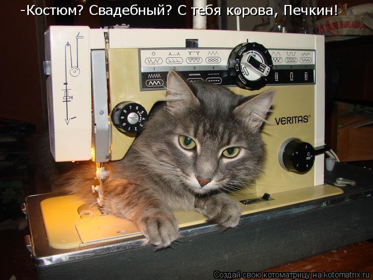 -Костюм? Свадебный? С тебя корова, Печкин!... Котоматрица: -Костюм? Свадебный? С тебя корова, Печкин!