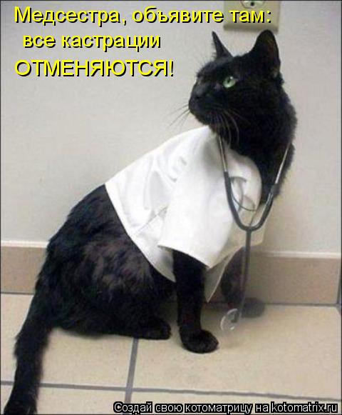 Медсестра, объявите там: все кастрации ОТМЕНЯЮТСЯ!... Котоматрица: Медсестра, объявите там: все кастрации ОТМЕНЯЮТСЯ!