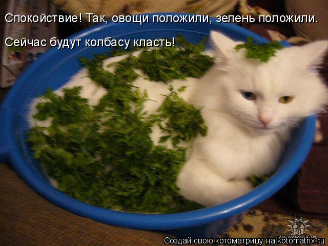 Спокойствие! Так, овощи положили, зелень положили. Сейчас будут колбасу класть!... Котоматрица: Спокойствие! Так, овощи положили, зелень положили. Сейчас будут колбасу класть!