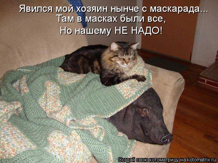 Явился мой хозяин нынче с маскарада... Там в масках были все, Но нашему НЕ НАДО!... Котоматрица: Явился мой хозяин нынче с маскарада... Там в масках были все, Но нашему НЕ НАДО!