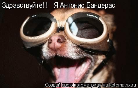 Здравствуйте!!! Я Антонио Бандерас.... Котоматрица: Здравствуйте!!! Я Антонио Бандерас.