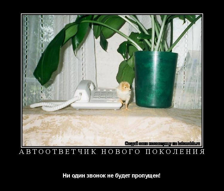 Автоответчик нового поколения Ни один звонок не будет пропущен!... Котоматрица: Автоответчик нового поколения Ни один звонок не будет пропущен!