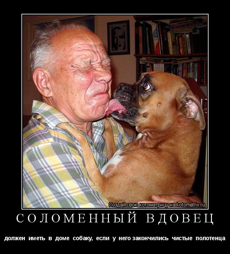 соломенный вдовец должен иметь в доме собаку, если у него закончились чистые полотенца... Котоматрица: соломенный вдовец должен иметь в доме собаку, если у него закончились чистые полотенца