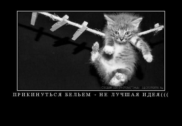 Котоматрица: ПРИКИНУТЬСЯ БЕЛЬЕМ - НЕ ЛУЧШАЯ ИДЕЯ((( 