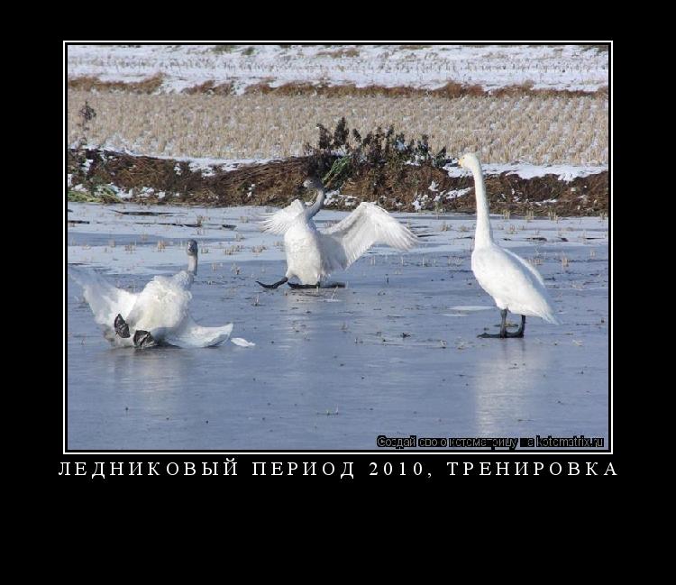 Котоматрица: ЛЕДНИКОВЫЙ ПЕРИОД 2010, ТРЕНИРОВКА 