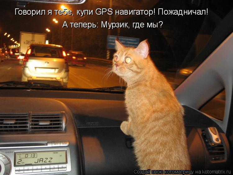 Говорил я тебе, купи GPS навигатор! Пожадничал! А теперь: Мурзик, где мы?... Котоматрица: Говорил я тебе, купи GPS навигатор! Пожадничал! А теперь: Мурзик, где мы?