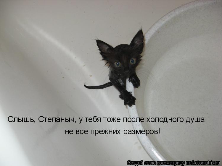 Слышь, Степаныч, у тебя тоже после холодного душа не все прежних размеров!... Котоматрица: Слышь, Степаныч, у тебя тоже после холодного душа не все прежних размеров!