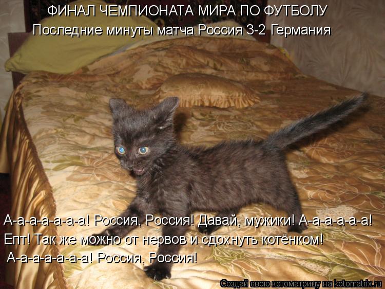 Котоматрица: ФИНАЛ ЧЕМПИОНАТА МИРА ПО ФУТБОЛУ Последние минуты матча Россия 3-2 Германия А-а-а-а-а-а-а! Россия, Россия! Давай, мужики! А-а-а-а-а-а! Епт! Так же м