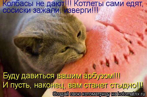 Котоматрица: Колбасы не дают!!! Котлеты сами едят,   сосиски зажали, изверги!!! Буду давиться вашим арбузом!!! И пусть, наконец, вам станет стыдно!!!