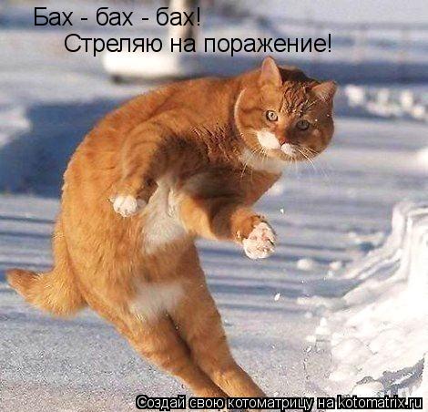 Котоматрица: Бах - бах - бах! Стреляю на поражение!