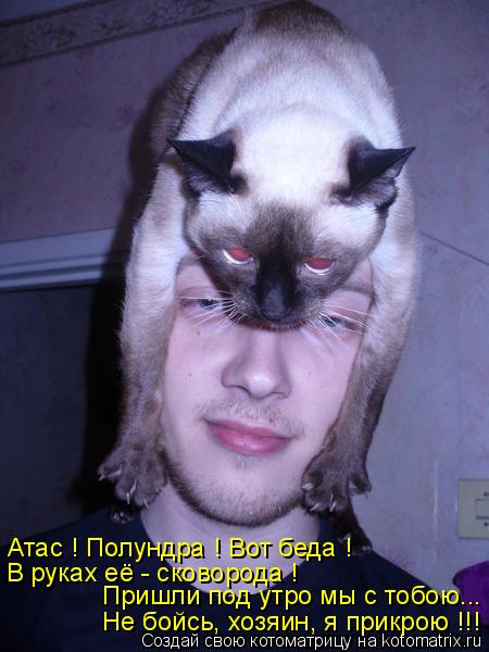 Пришли под утро мы с тобою... Не бойсь, хозяин, я прикрою !!! Атас ! Полундра ! Вот беда ! В руках её... Котоматрица: Пришли под утро мы с тобою... Не бойсь, хозяин, я прикрою !!! Атас ! Полундра ! Вот беда ! В руках её - сковорода !