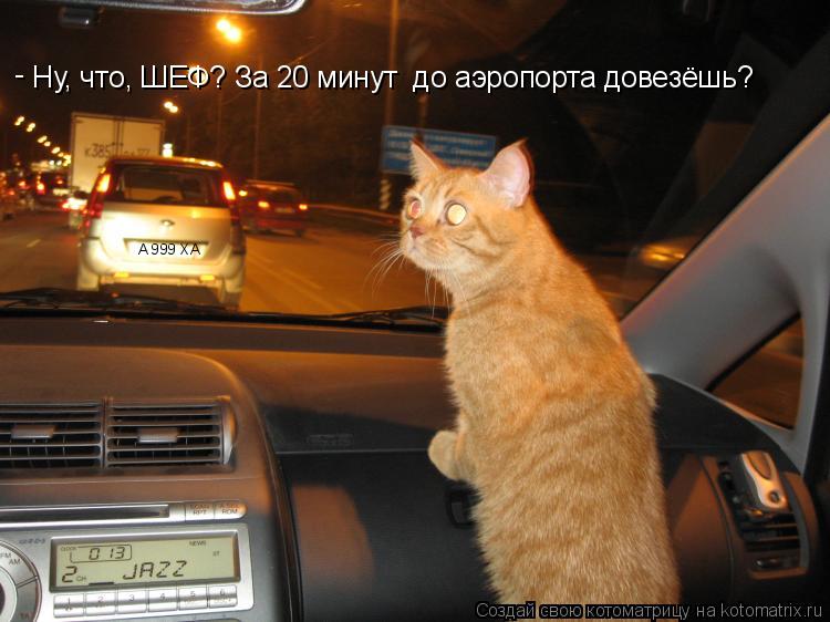 Котоматрица: Ну, что, ШЕФ? За 20 минут  до аэропорта довезёшь? А 999 ХА -