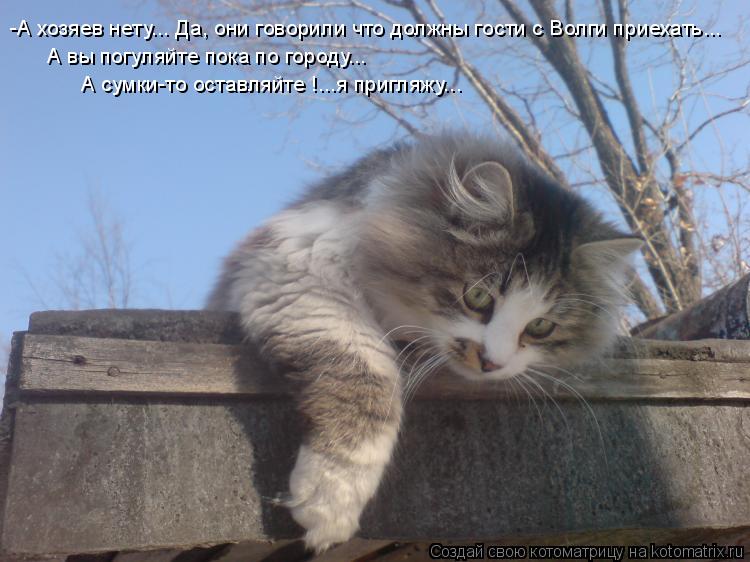 -А хозяев нету... Да, они говорили что должны гости с Волги приехать... А вы погуляйте пока по городу... Котоматрица: -А хозяев нету... Да, они говорили что должны гости с Волги приехать... А вы погуляйте пока по городу... А сумки-то оставляйте !...я пригляжу...
