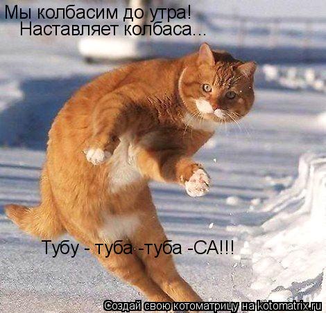 Котоматрица: Мы колбасим до утра!  Наставляет колбаса... Тубу - туба -туба -СА!!!