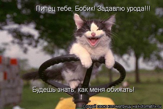 Пипец тебе, Бобик! Задавлю урода!!! Будешь знать, как меня обижать!... Котоматрица: Пипец тебе, Бобик! Задавлю урода!!! Будешь знать, как меня обижать!