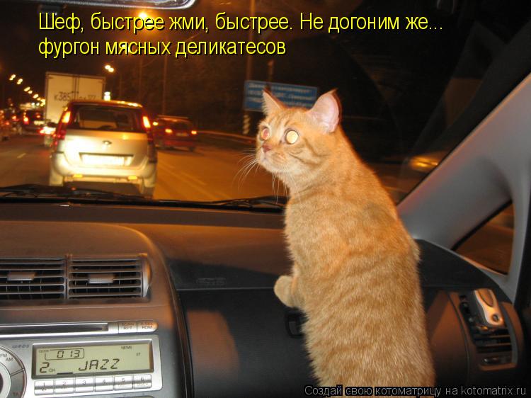 Шеф, быстрее жми, быстрее. Не догоним же... фургон мясных деликатесов... Котоматрица: Шеф, быстрее жми, быстрее. Не догоним же... фургон мясных деликатесов