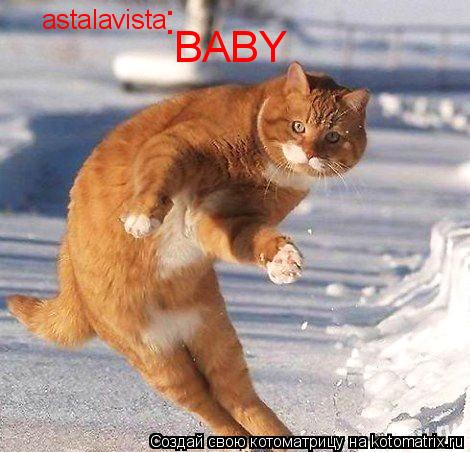 astalavista BABY :... Котоматрица: astalavista BABY :