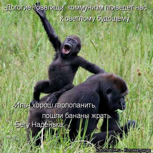 -Догогие товагищи, коммунизм пгиведет нас к светлому будощему. -Ильч хорош гарлопанить, пошли бана... Котоматрица: -Догогие товагищи, коммунизм пгиведет нас к светлому будощему. -Ильч хорош гарлопанить, пошли бананы жрать. -Бегу Наденька.
