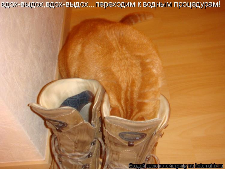 вдох-выдох,вдох-выдох...переходим к водным процедурам!... Котоматрица: вдох-выдох,вдох-выдох...переходим к водным процедурам!