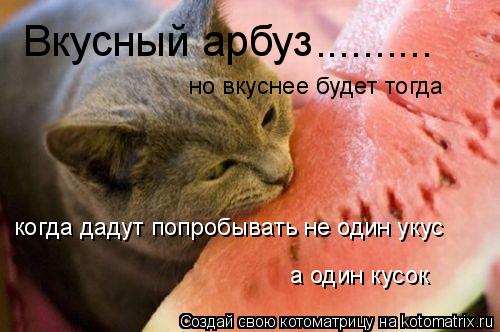 Вкусный арбуз .......... но вкуснее будет тогда когда дадут попробывать не один укус а один кусок... Котоматрица: Вкусный арбуз .......... но вкуснее будет тогда когда дадут попробывать не один укус а один кусок