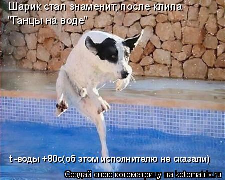 Котоматрица: Шарик стал знаменит, после клипа "Танцы на воде" t -воды +80c(об этом исполнителю не сказали)
