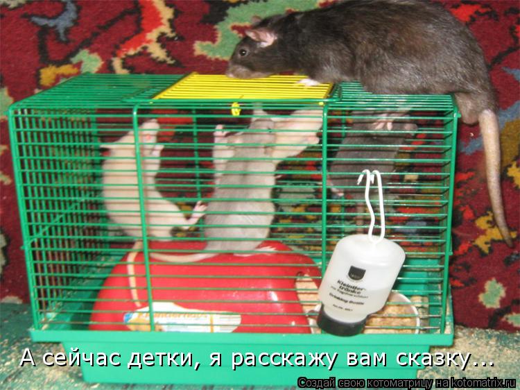 Котоматрица: А сейчас детки, я расскажу вам сказку...