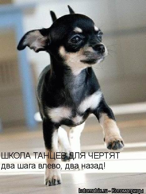 Котоматрица: ШКОЛА ТАНЦЕВ ДЛЯ ЧЕРТЯТ два шага влево, два назад!