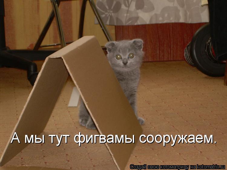 Котоматрица: А мы тут фигвамы сооружаем.