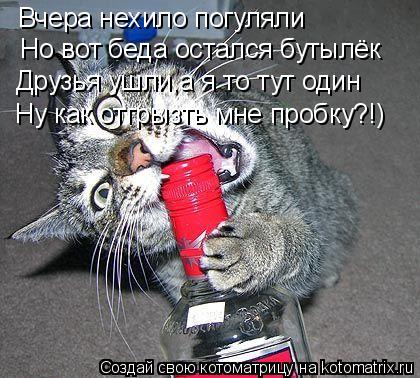 Вчера нехило погуляли Но вот беда остался бутылёк Друзья ушли,а я то тут один Ну как отгрызть мне про... Котоматрица: Вчера нехило погуляли Но вот беда остался бутылёк Друзья ушли,а я то тут один Ну как отгрызть мне пробку?!)