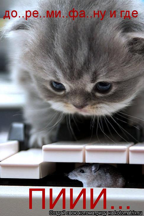 до..ре..ми..фа..ну и где ПИИИ...... Котоматрица: до..ре..ми..фа..ну и где ПИИИ...