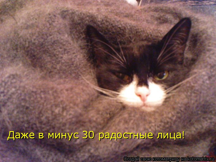 Даже в минус 30 радостные лица!... Котоматрица: Даже в минус 30 радостные лица!