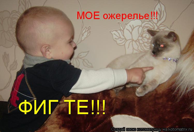 Котоматрица: МОЕ ожерелье!!! ФИГ ТЕ!!!