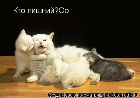 Кто лишний?Оо... Котоматрица: Кто лишний?Оо